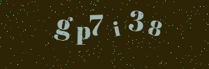 Validation image