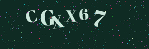 Validation image