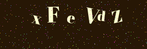 Validation image